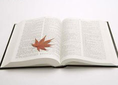 格拉纳达阻击棘手对手，强势展示锋线实力