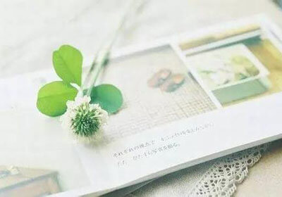 大连一方在比赛中力压对手，夺得胜利