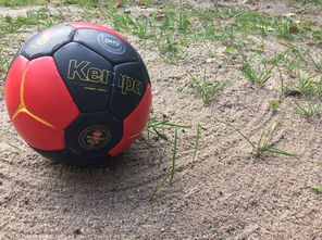 九游官网入口活动-“沙滩赛场燃爆天府新区，沙滩手球和合球上演极限对决”